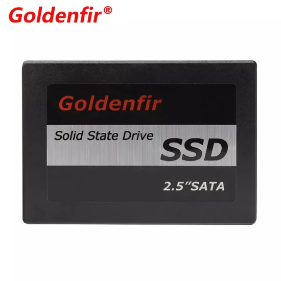 Goldenfir SSD 120 Go Disque Solid State Disk HDD 2,5